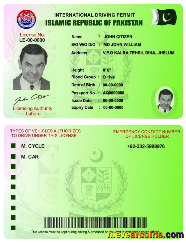 Pakistan international driving permit